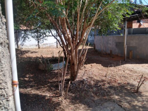 8f5426d6-9c31-48ba-9959-7a446857739f