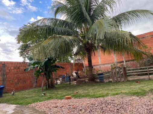 9c92487d-3f67-4850-a94a-1ffbcec5aee8