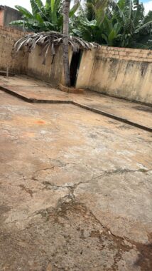 WhatsApp Image 2026-02-09 at 09.52.05 (1)