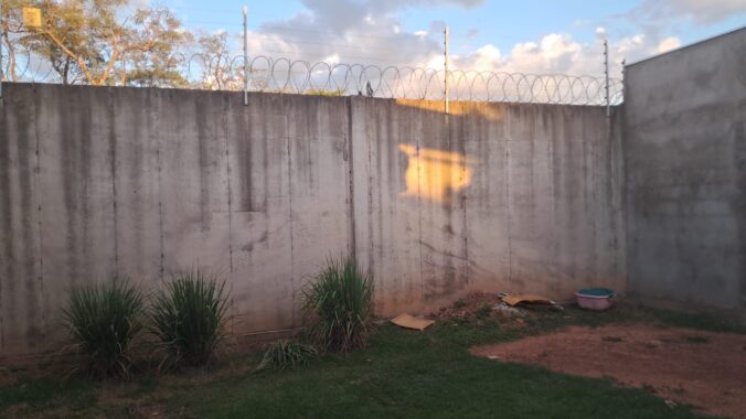 ac16013f-ed15-4d53-b58f-80d1f7aa0d38