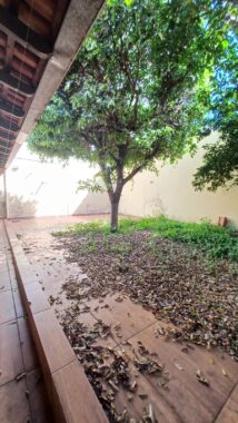 c8bb27dd-5e63-41ff-865a-a5d7a9999718