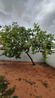 cd6f1ed1-ec02-4ab4-b995-65bab8920d77