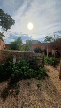 d8f9f23d-08b3-4109-8e8f-cece264b0588