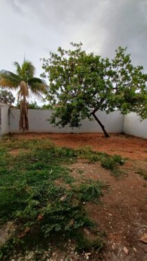 e7c37529-88a6-44d4-b498-ed37b9301e0e